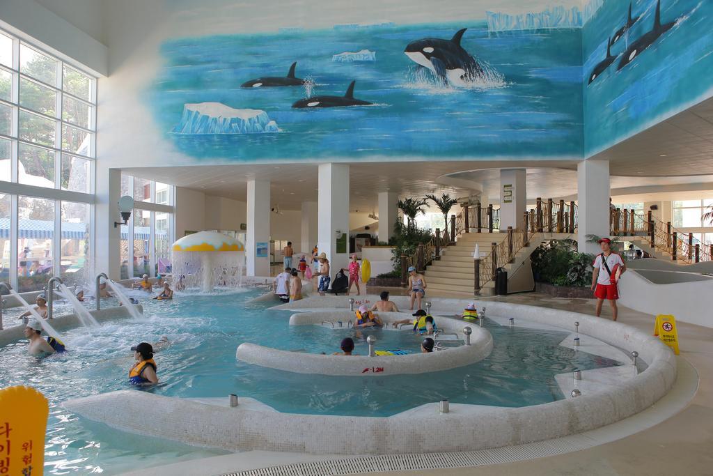 Yongpyong Resort Villa Condominium 평창 외부 사진