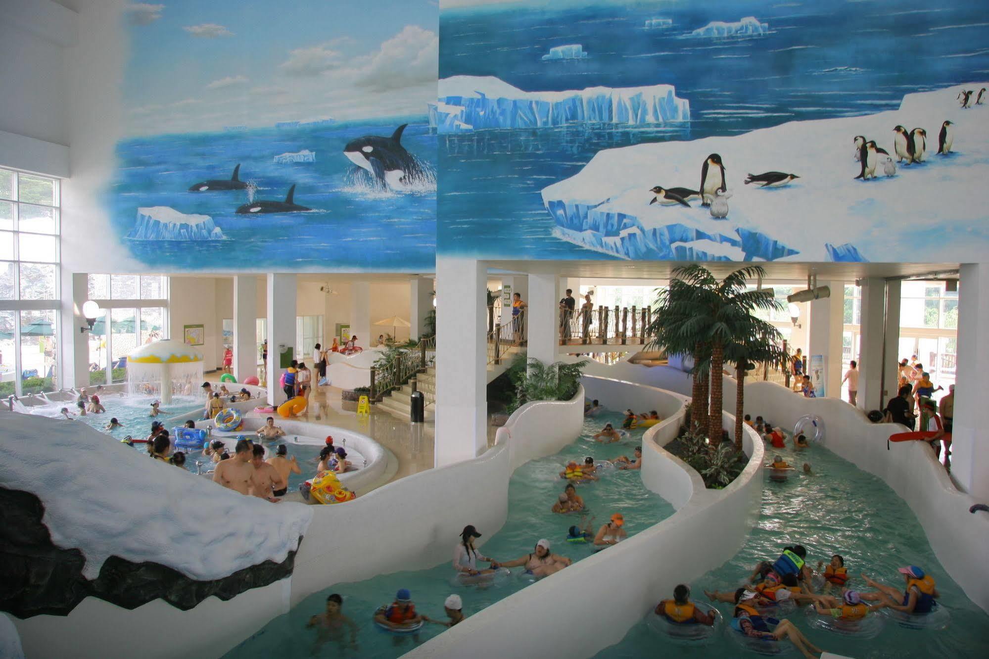 Yongpyong Resort Villa Condominium 평창 외부 사진